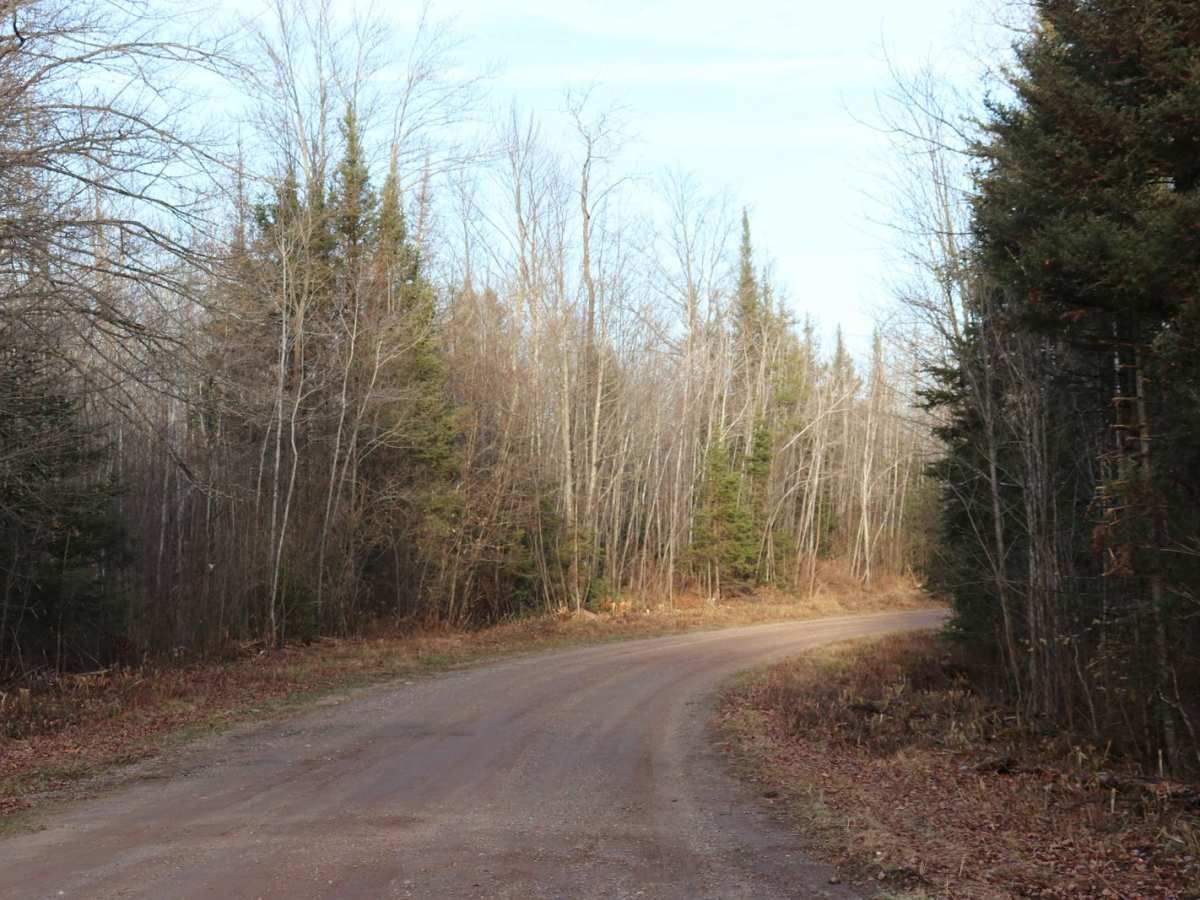 Long Lake Road - FS 2168 trail photo