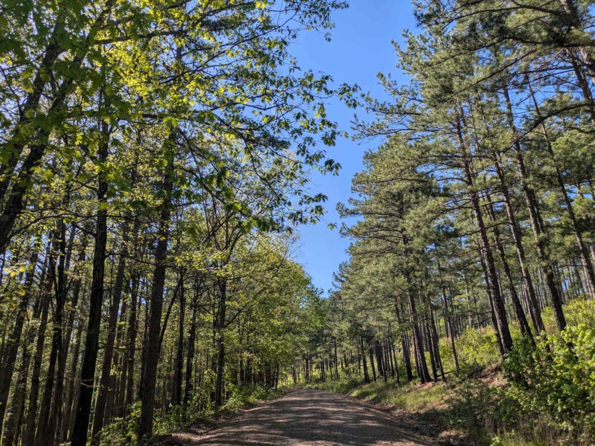 Terrapin Creek Road trail photo