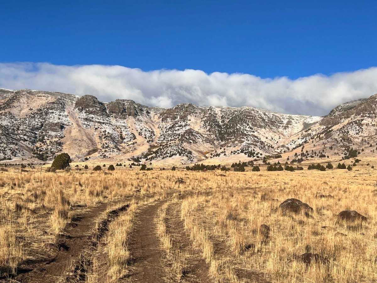Cow Tracks trail photo