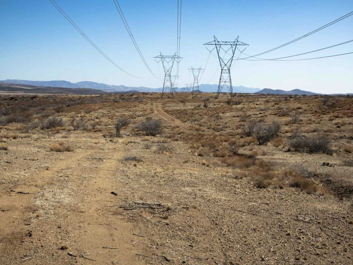 Weird Power photo 6