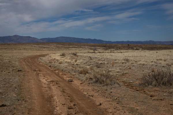 Volcanic Pastures