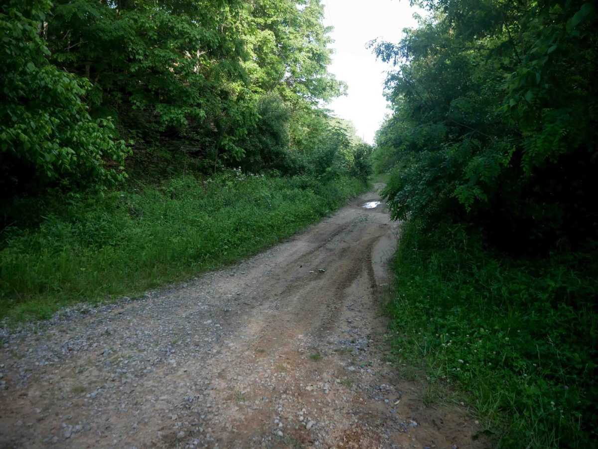 MV12 photo 2