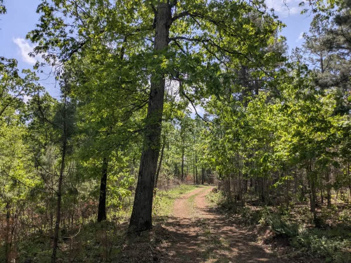 Casteel Road photo 5