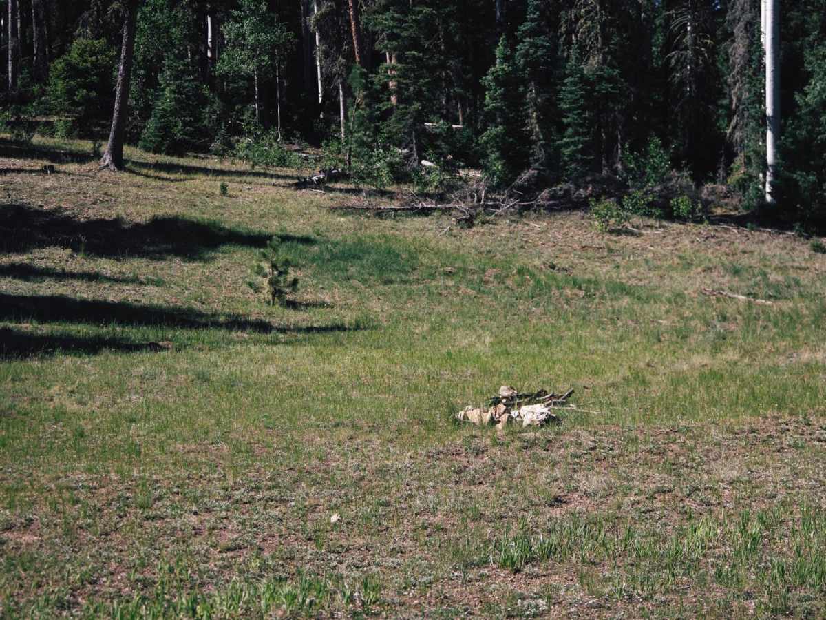 Tater Canyon photo 5