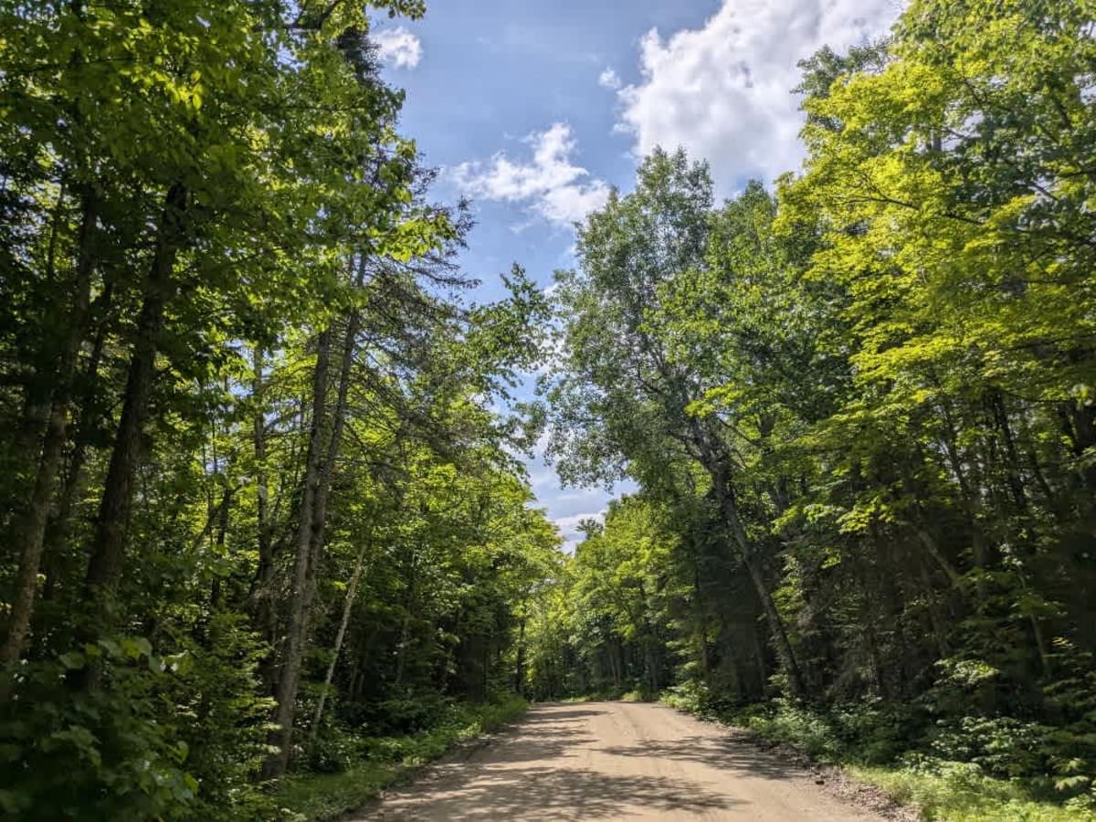 2147 trail photo