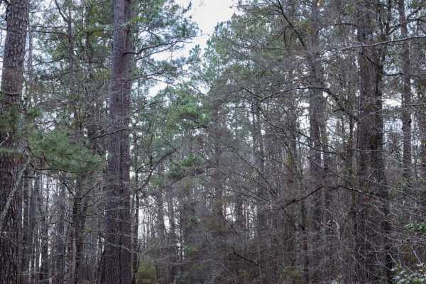 FSR134 - Wright Road