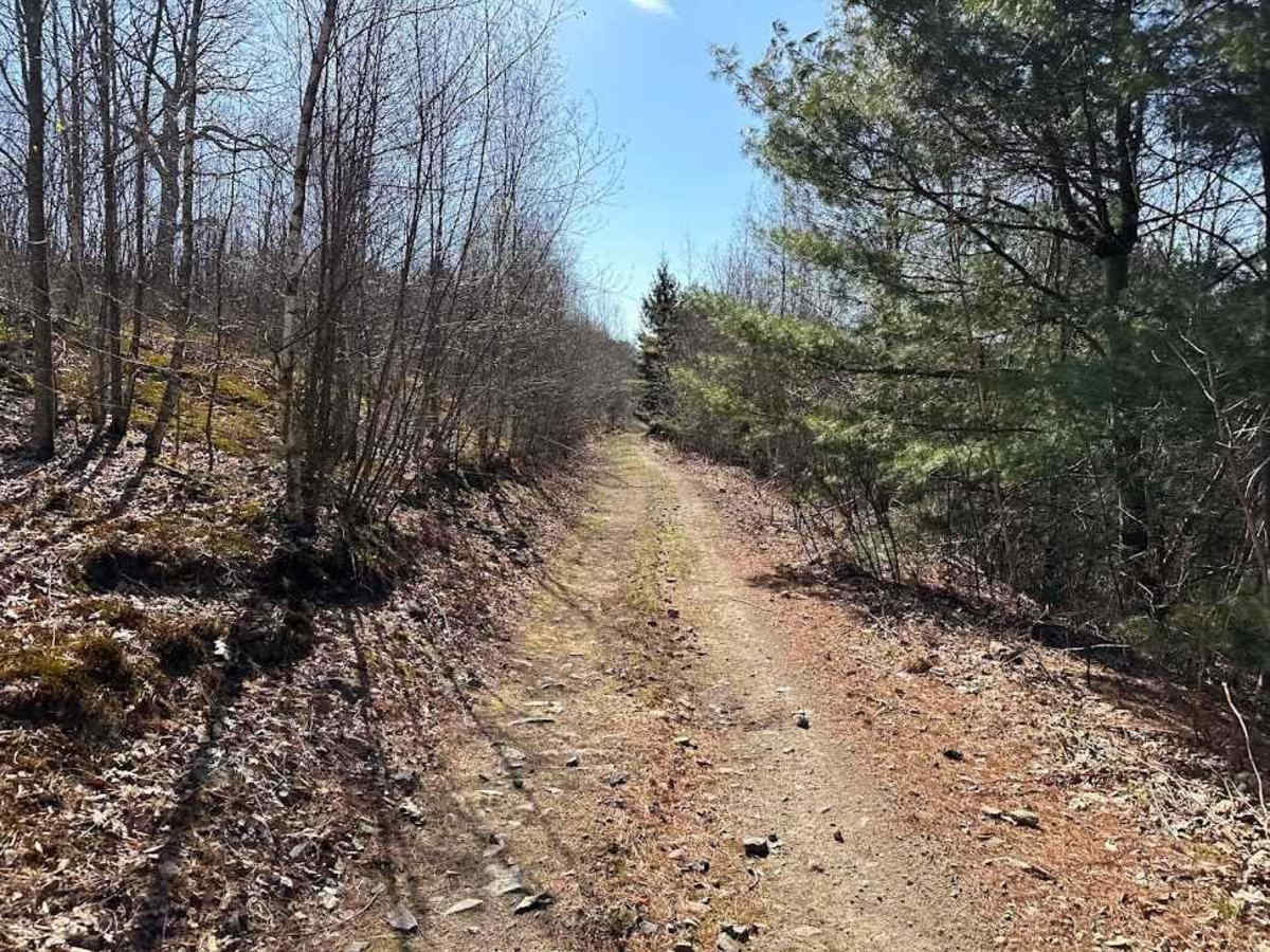 Old Power Plant Road photo 2