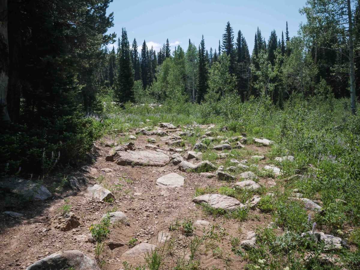 Dry Fork #3329  photo 5