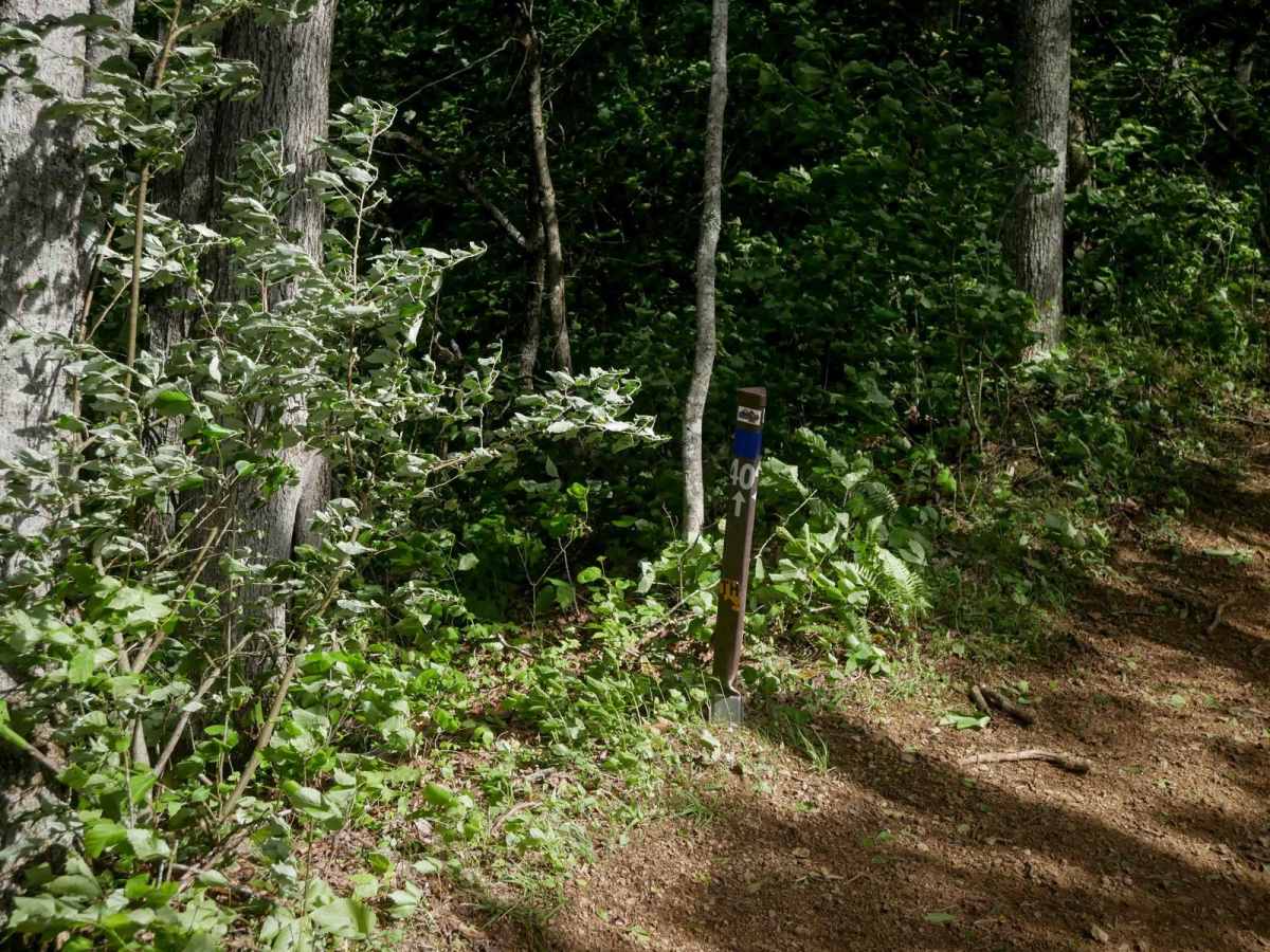 RV24 photo 4