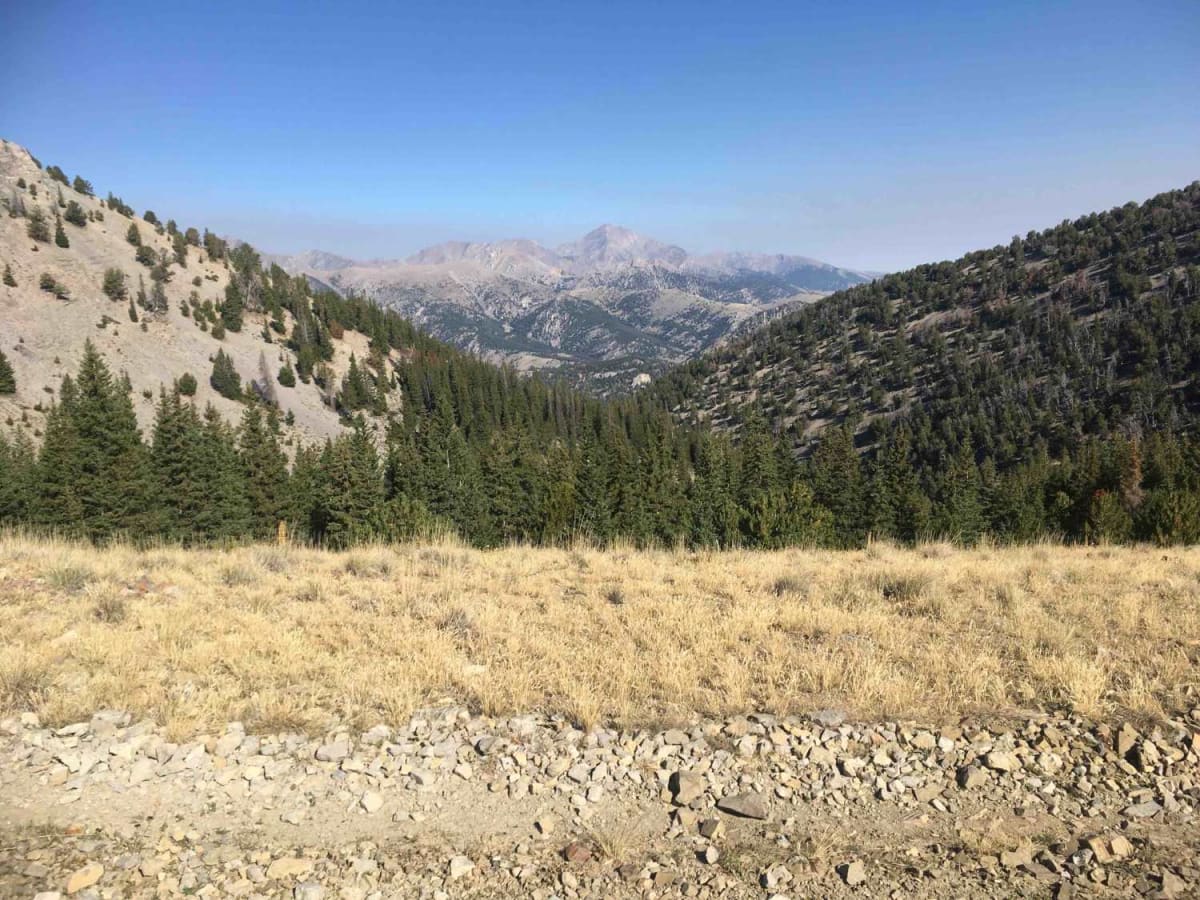 Southfork Eightmile Trail photo 4