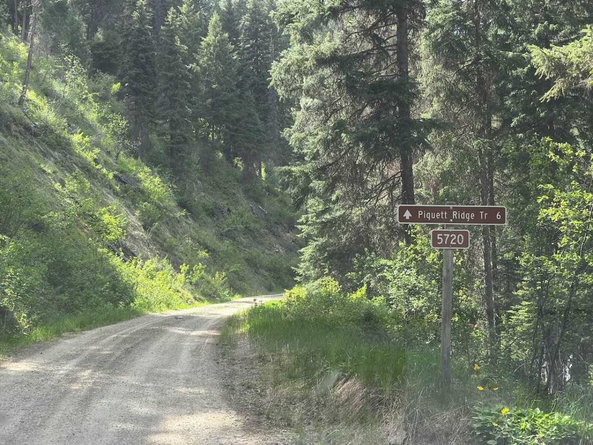 Piquett Ridge photo 3