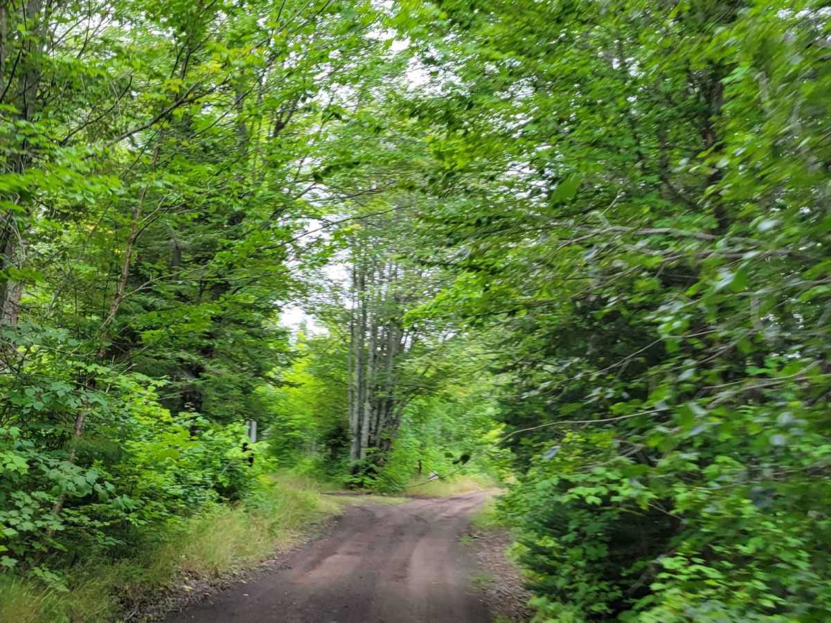 Keweenaw State Trail Segment 1 photo 4