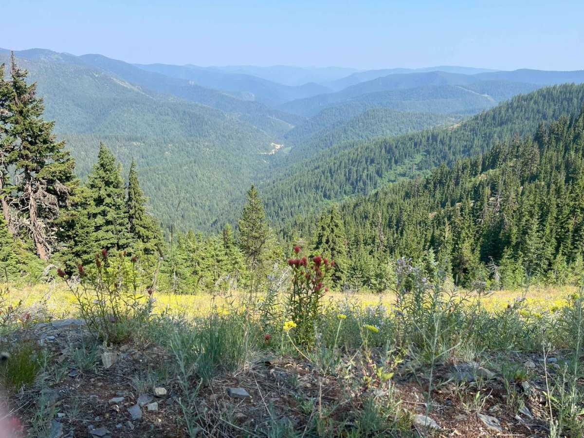 Cedar Mountain 389 photo 5
