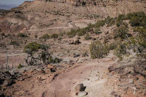Coyote Ridge
