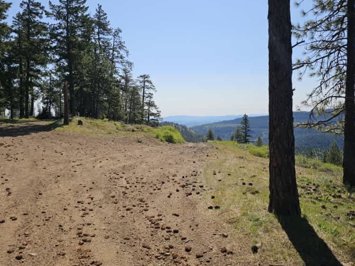 Moonlight Canyon photo 6
