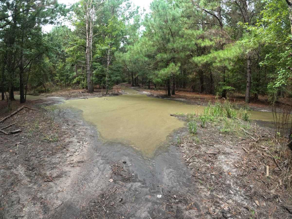 Laiklynn's Lane photo 3