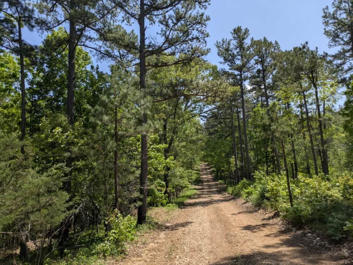 Merrill Ridge trail photo