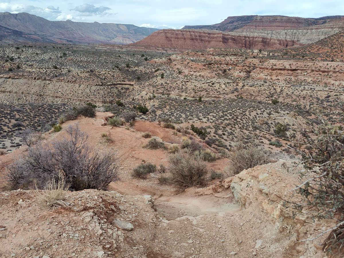 Twister Shortcut photo 3