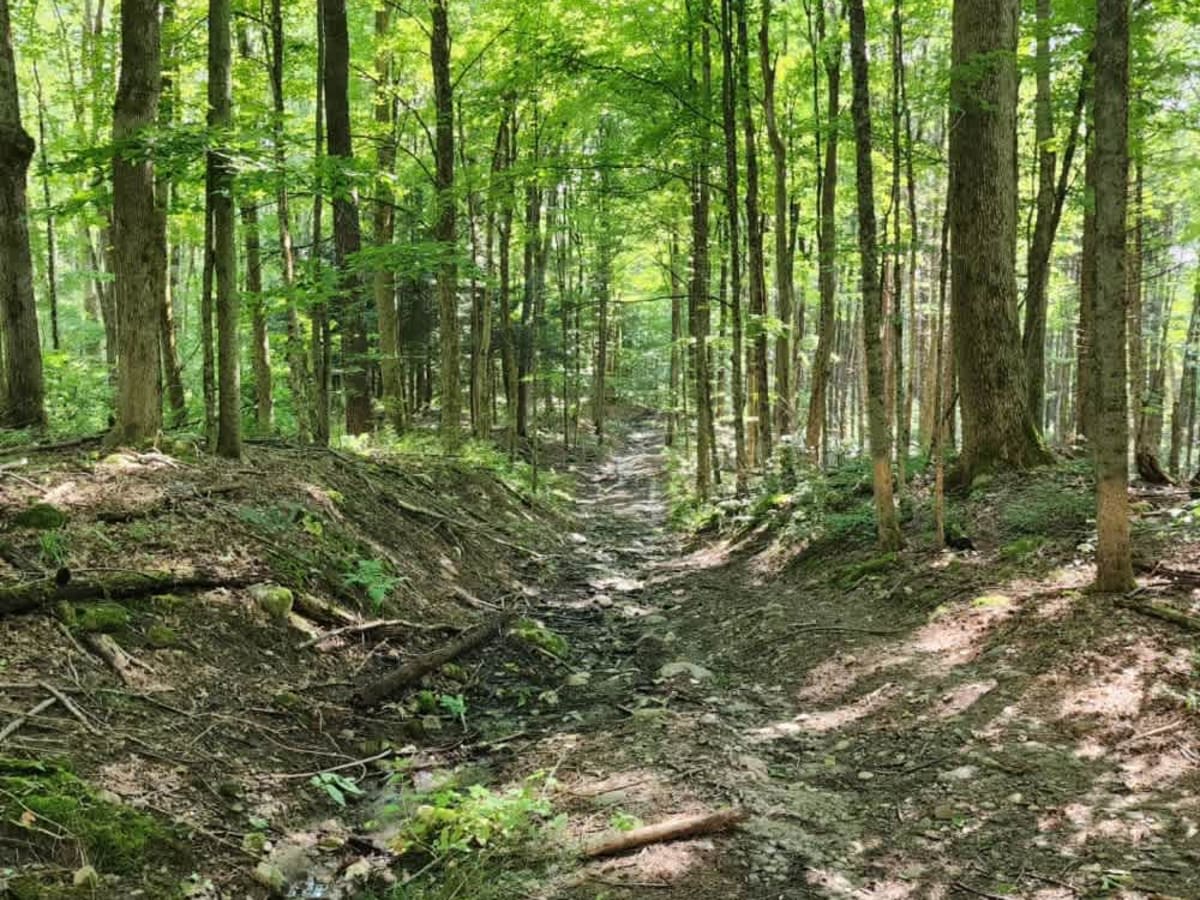 Boody Hill Trail photo 2