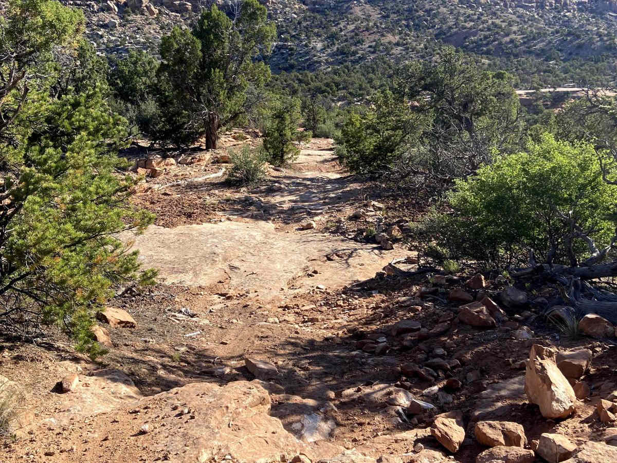 BLM Route 018 photo 6