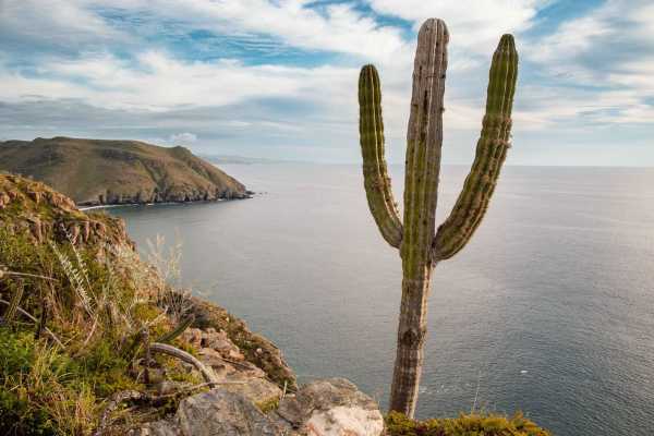 Puerto Viejo