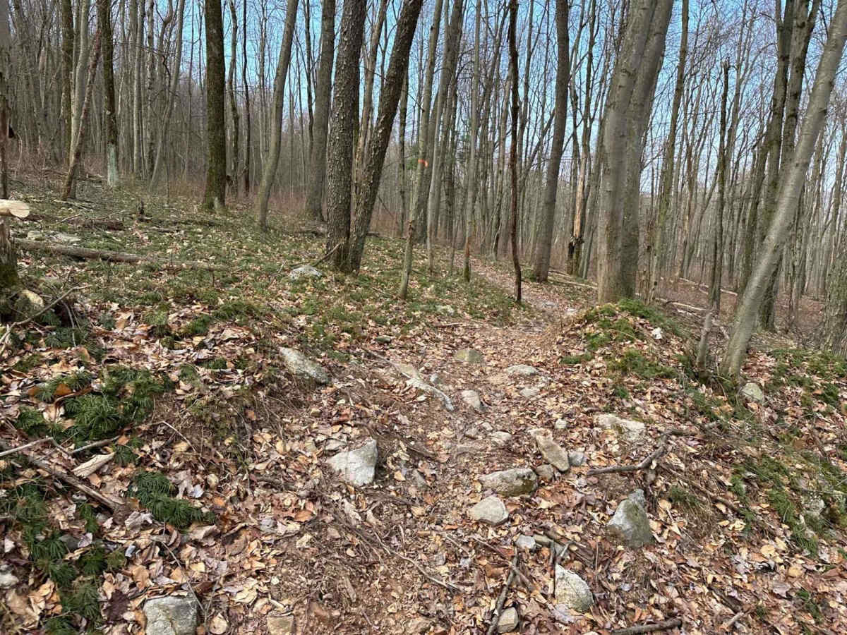 Tower City Single Track 3- A photo 2