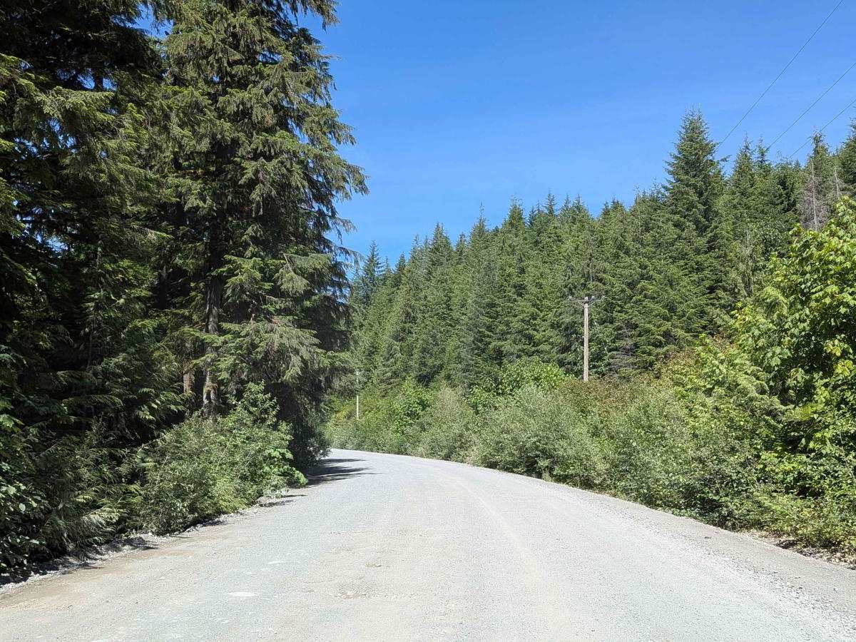 Carmanah Main trail photo