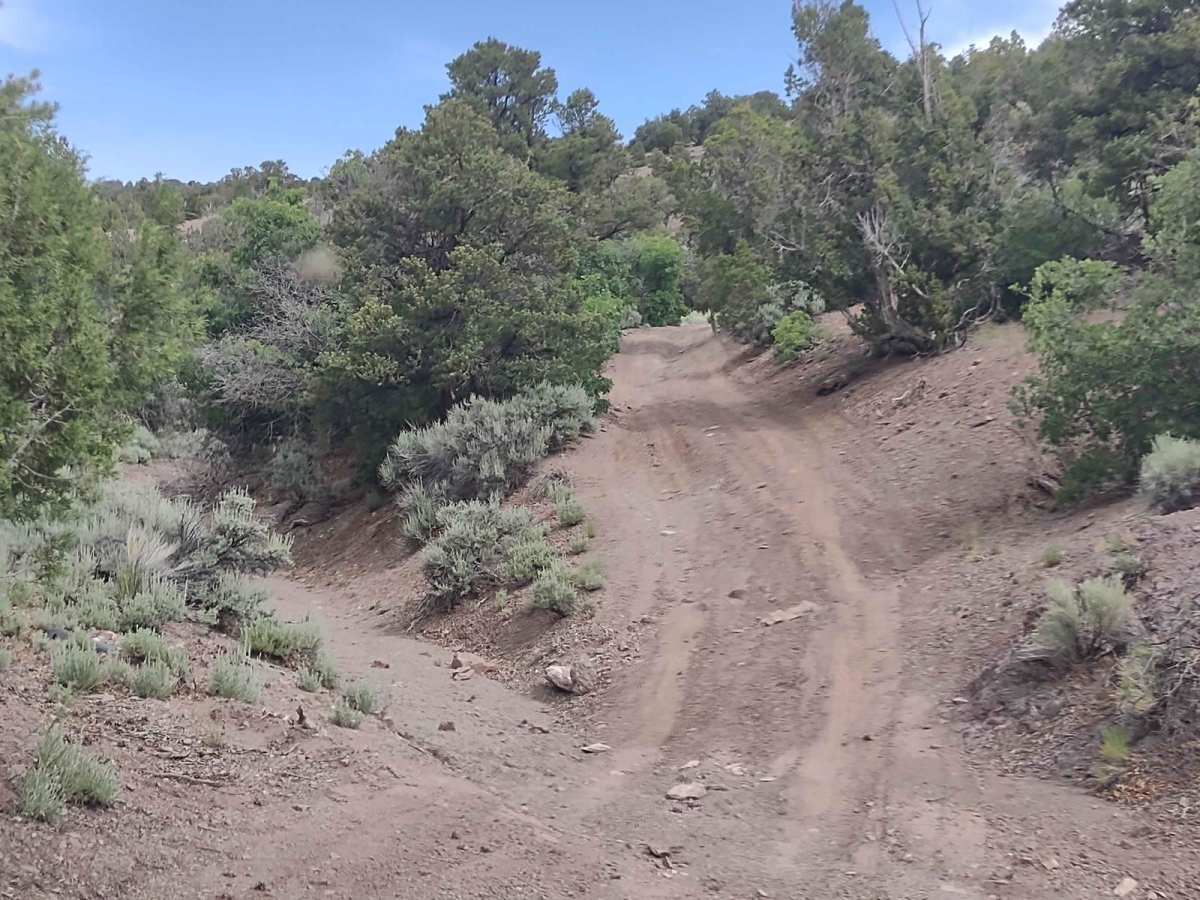 Oak Spring Rollercoaster trail photo