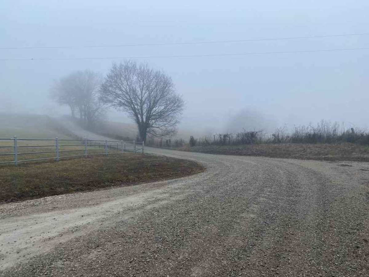 Old Plantation Access Road photo 3