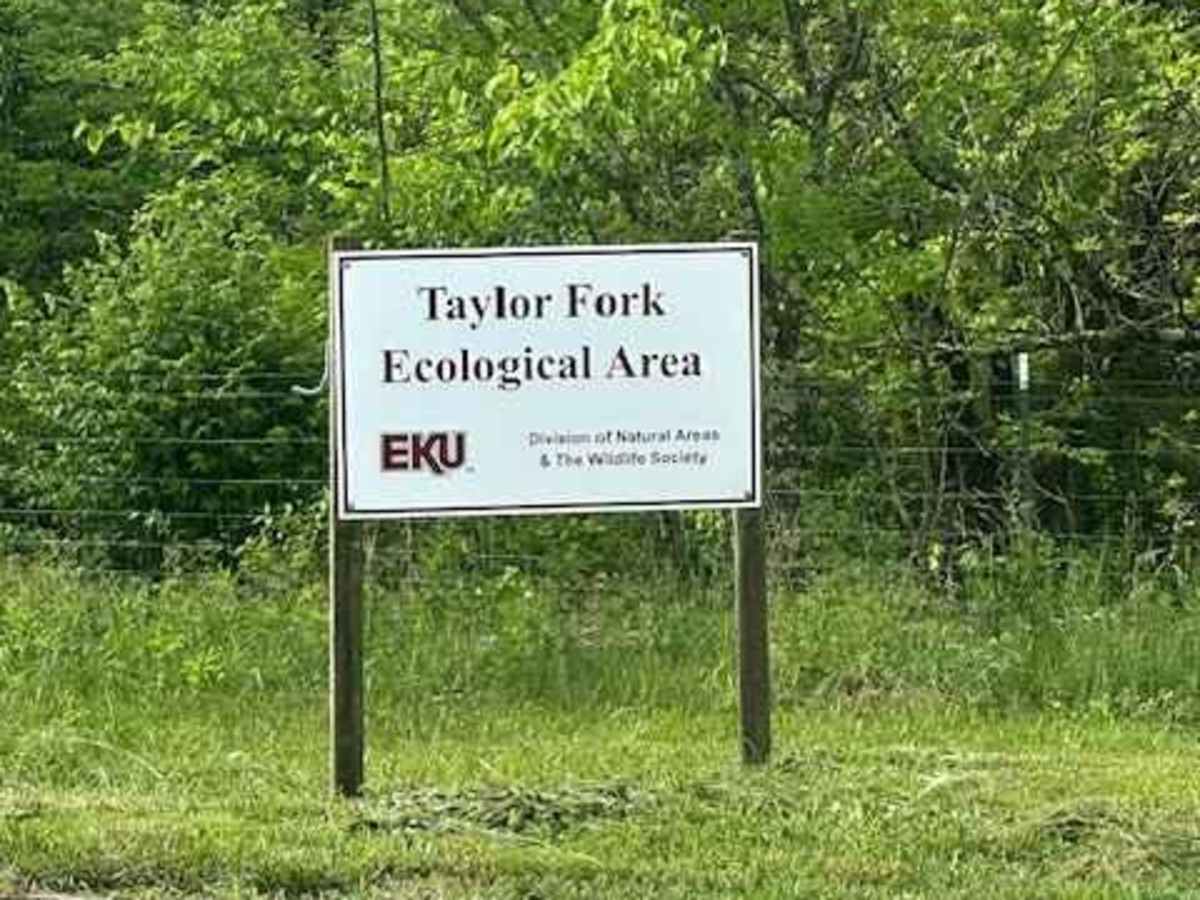 Hancock Taylor Lane photo 2