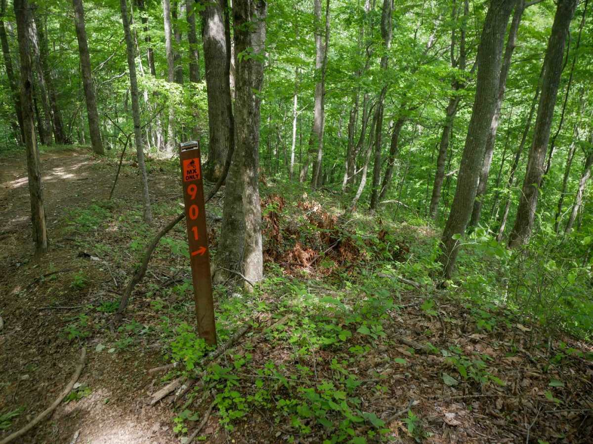 MV901 trail photo