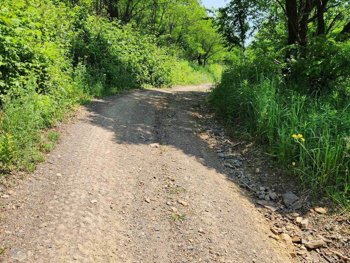 Trail 8 - Rock Run Recreation Area photo 2