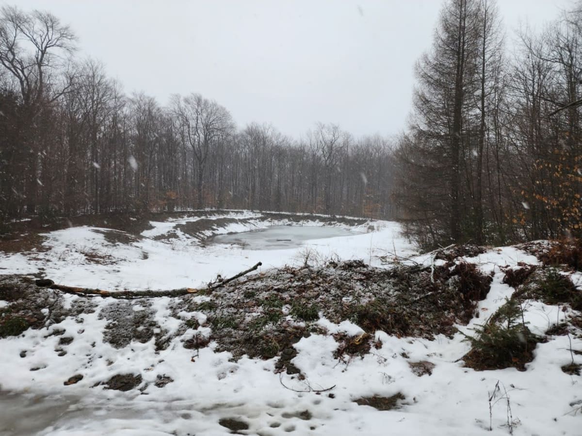 Pipeline PFAR photo 6