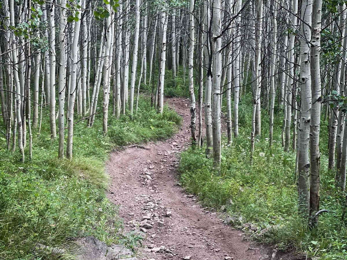 Elkhorn Trail South trail photo