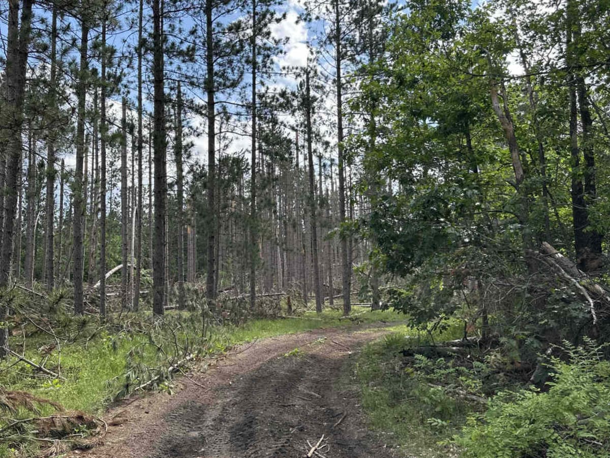 Anderson trail photo