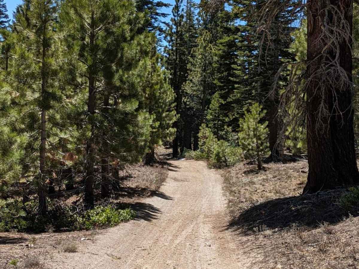 Manzanita Slope Loop photo 4