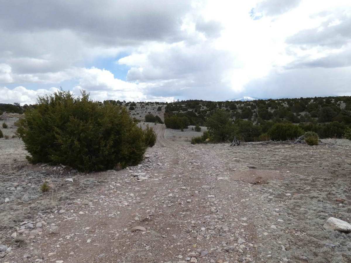 Baney Canyon photo 6
