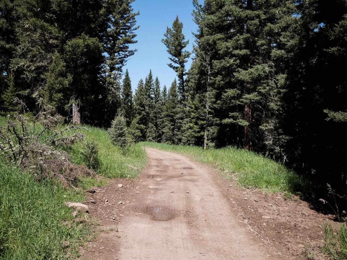 Lower Buck Ridge ATV photo 2