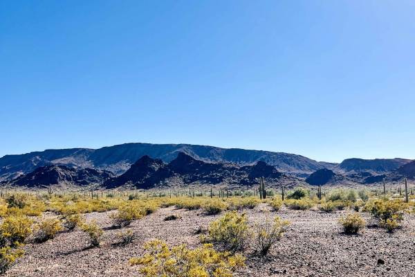 AZ Peace Trail Lava Rock Camp Trail