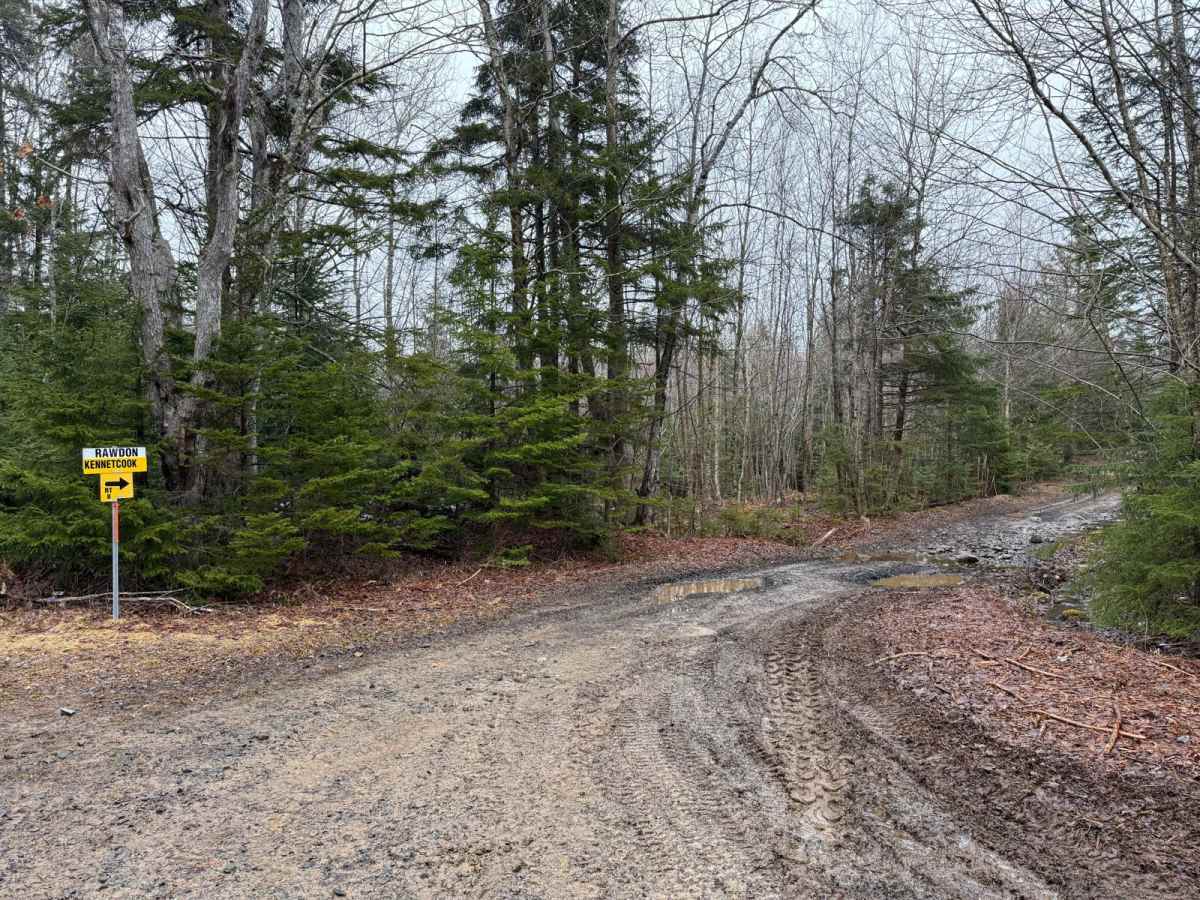 Kavanough Road photo 5