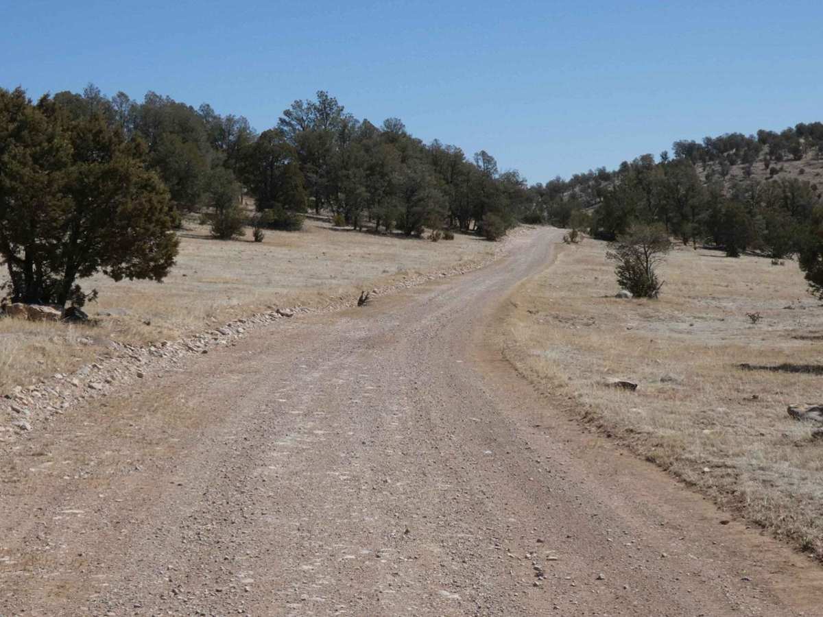 Dog Canyon photo 2