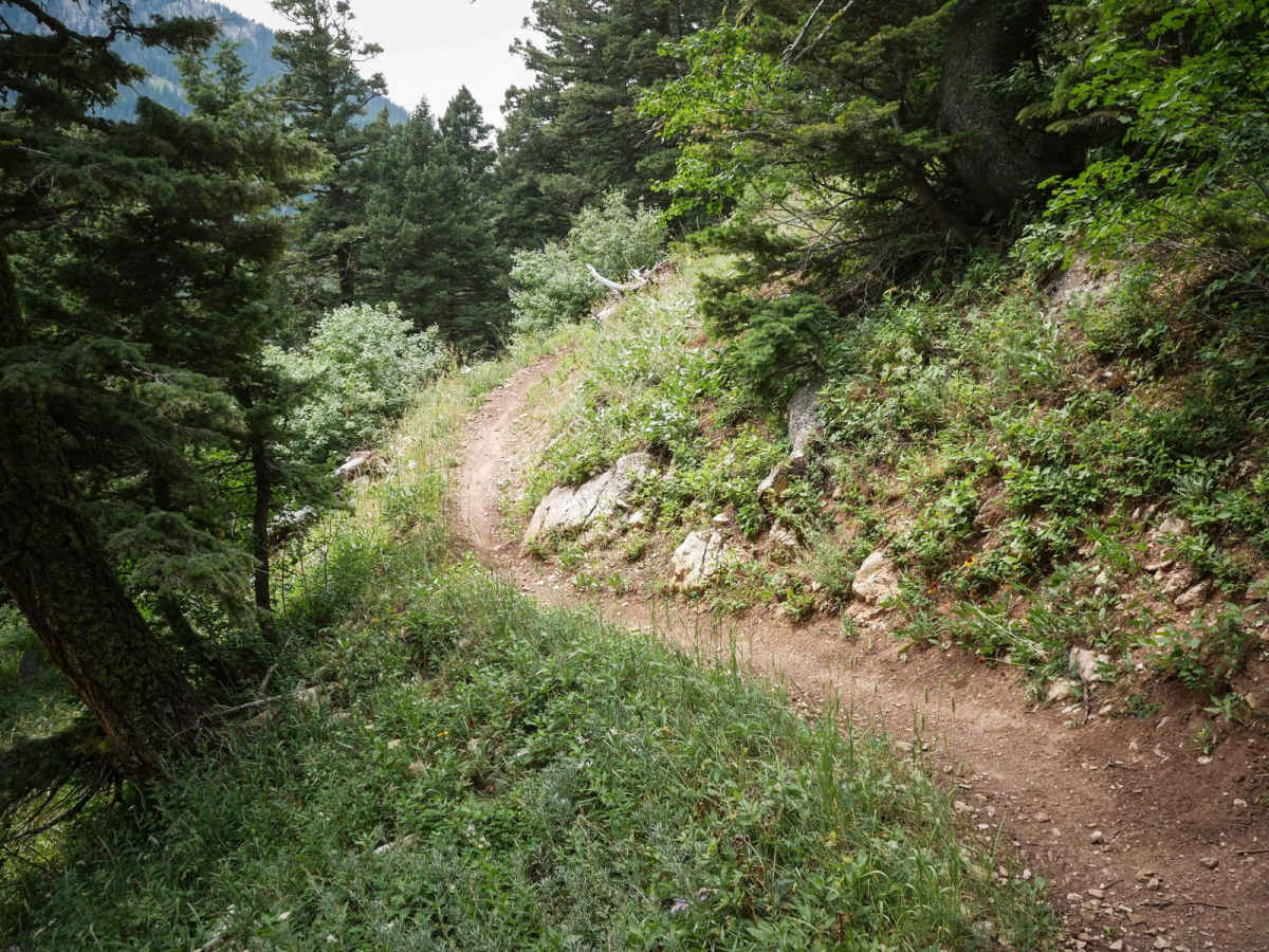 Upper Brackett Creek photo 4