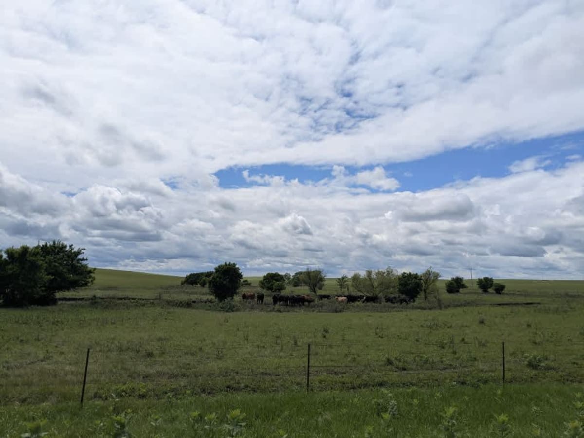 WP Road photo 6