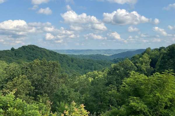 State Forest Road 2