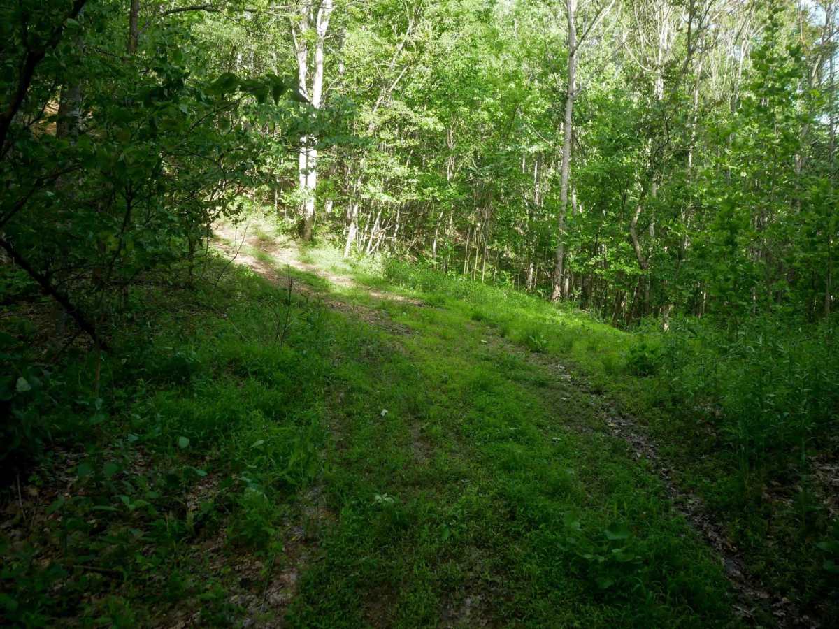RV53 photo 6