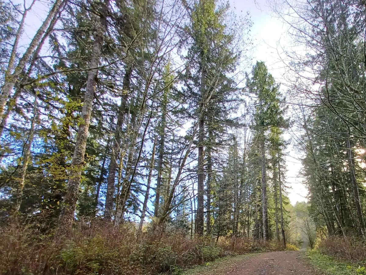 Foland Creek photo 3