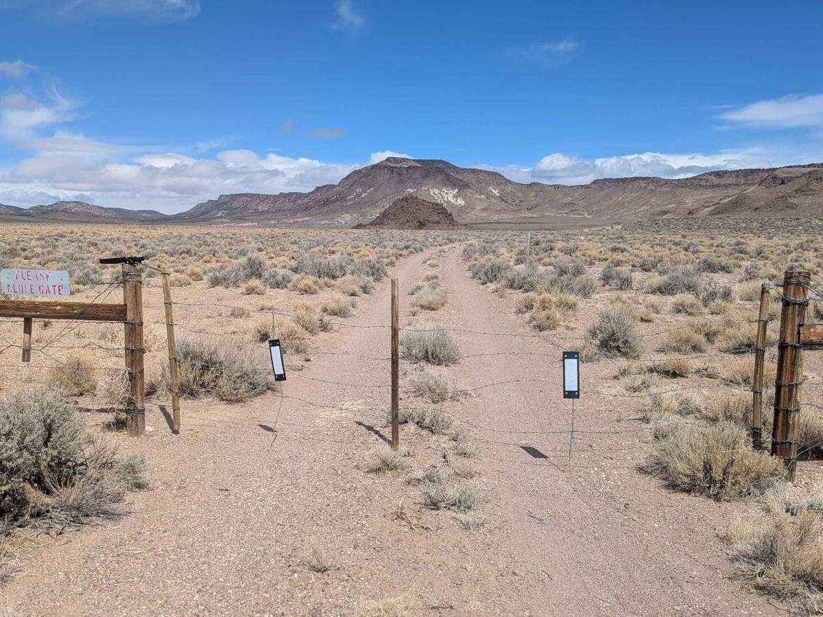 Douglas Spring - 44501 photo 2