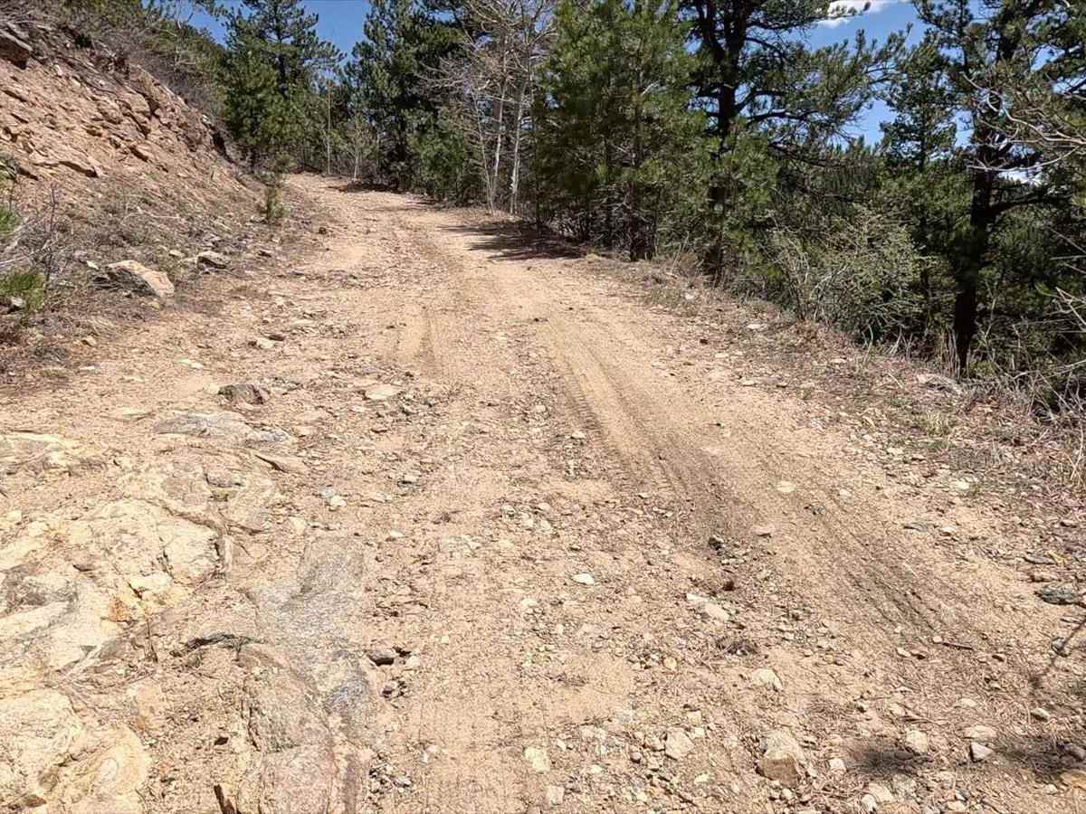 Chinook Road photo 4