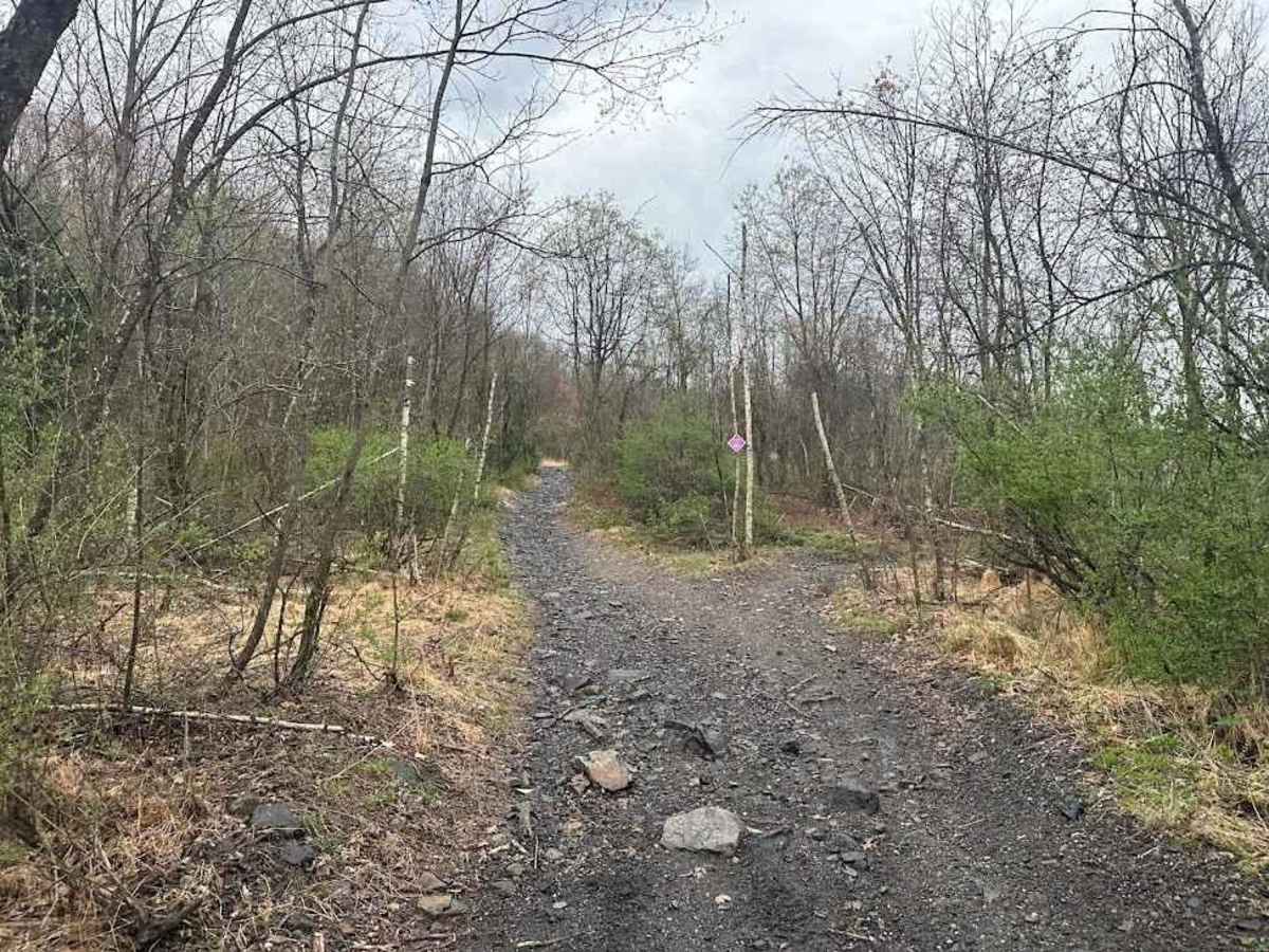 St. Keirns Single Track 5 photo 2