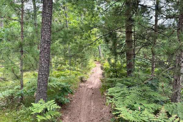 Little Manistee/Lincoln Hills Connector - Motorcycle Trail